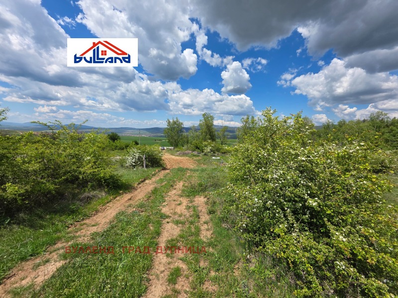 Til salgs  Land region Kyustendil , Sapareva banja , 5.377 dka | 18431987 - bilde [3]