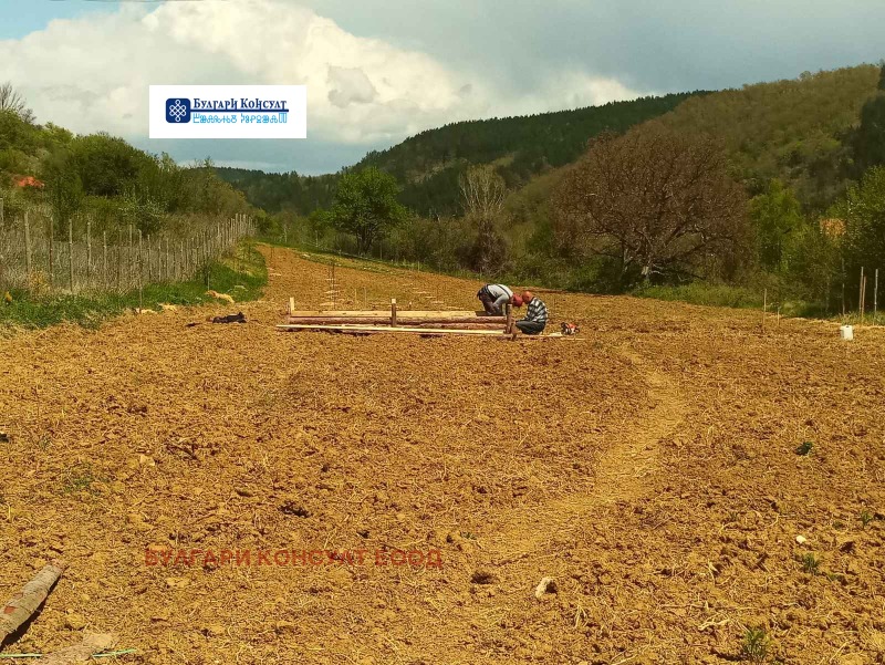 Продава ЗЕМЕДЕЛСКА ЗЕМЯ, с. Згурово, област Кюстендил