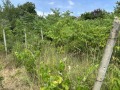 Продава ПАРЦЕЛ, гр. Варна, м-т Зеленика, снимка 2