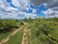 Продава ЗЕМЕДЕЛСКА ЗЕМЯ, гр. Сапарева баня, област Кюстендил, снимка 2