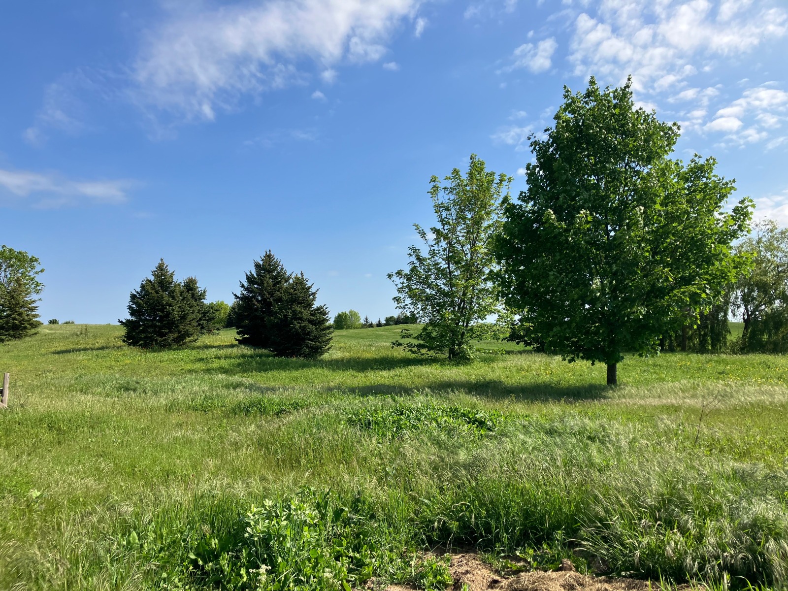 Продава КЪЩА | Imot.bg — изображение 5