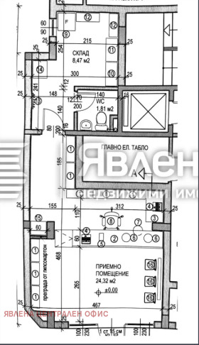 ����� ������� �������,���� �����, ������