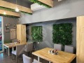 Продава ЗАВЕДЕНИЕ, град Пловдив, Тракия • 975000 € • 39934685 — Holmes.bg
