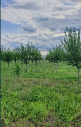 Продажба на земеделски земи в област Пловдив — страница 2 - изображение 19 