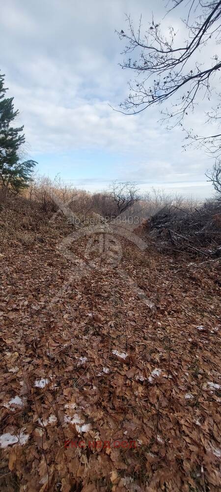 Продава ПАРЦЕЛ | Imot.bg — изображение 1