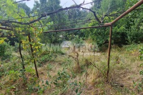 ������� ���� | Imot.bg � ����� ������ 10