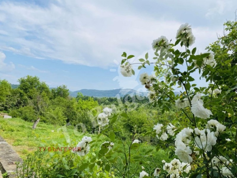 In vendita  Casa regione Gabrovo , Slavejkovo , 130 mq | 38517542 - Immagine [3]