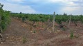 Продава ПАРЦЕЛ, област Пловдив, с. Белащица • 150000 € • 29658868 — Holmes.bg