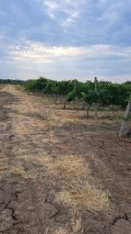 Продава ПАРЦЕЛ, област Пловдив, с. Белащица • 150000 € • 29658868 — Holmes.bg