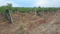 Продава ПАРЦЕЛ, област Пловдив, с. Белащица • 150000 € • 29658868 — Holmes.bg