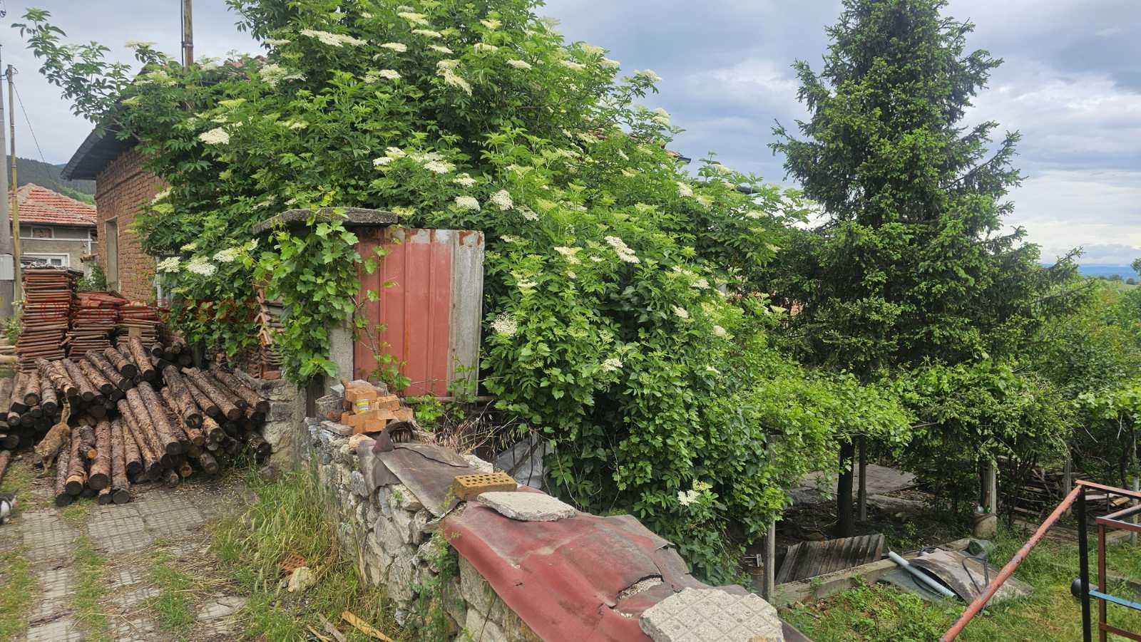 ������� ���� | Imot.bg � ����������� 17