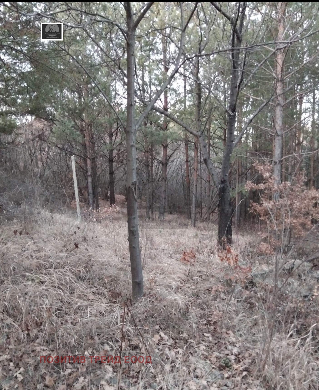 ������� ������ | Imot.bg � ����������� 3