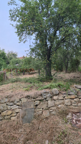 ������� ���� | Imot.bg � ����� ������ 7