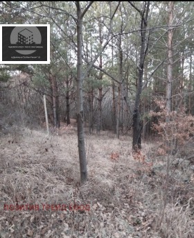 ������� ������ | Imot.bg � ����� ������ 3