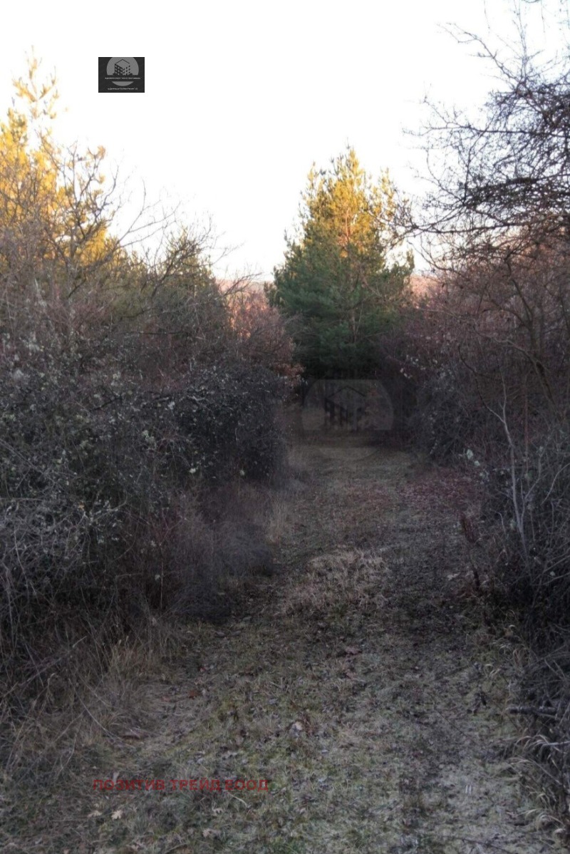 Продава ПАРЦЕЛ, с. Кременик, област Кюстендил, снимка 2 - Парцели - 53456548