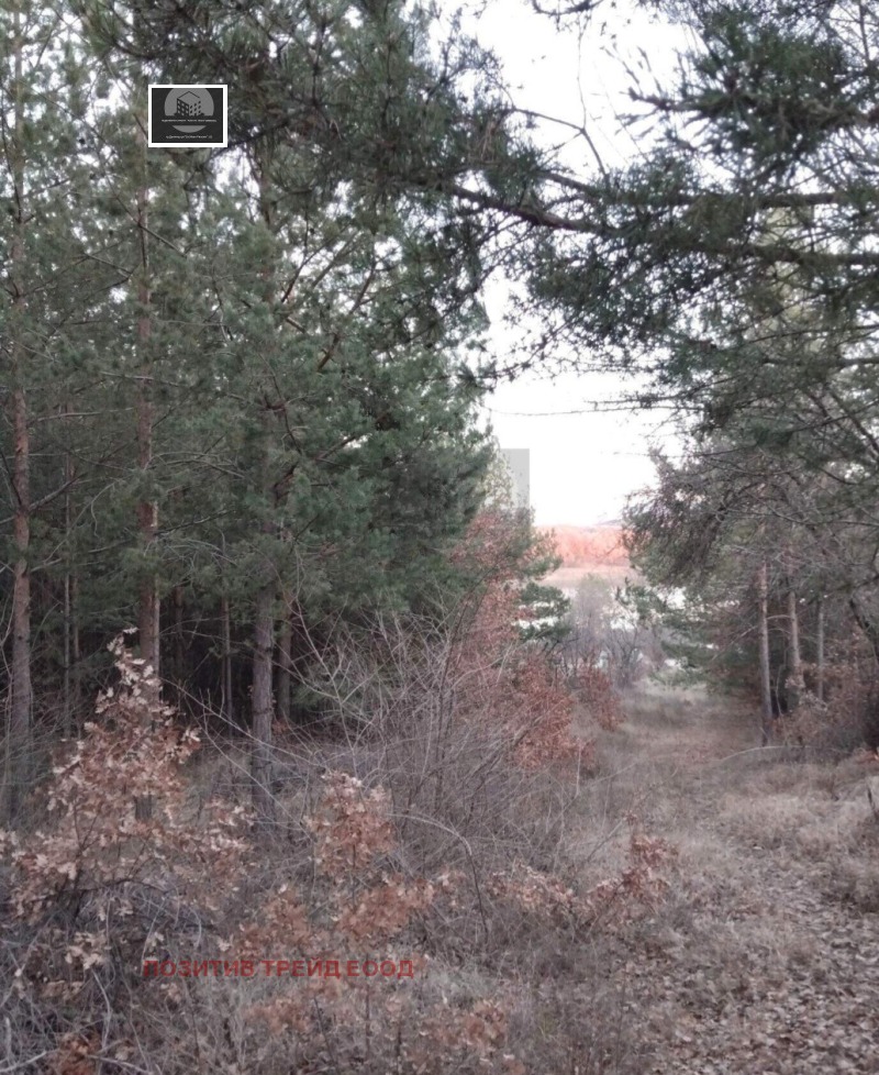 Продава ПАРЦЕЛ, с. Кременик, област Кюстендил