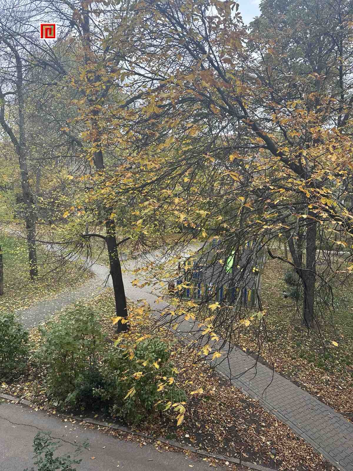 Продава 3-СТАЕН, гр. София, Яворов, снимка 4 - Апартаменти - 54134055