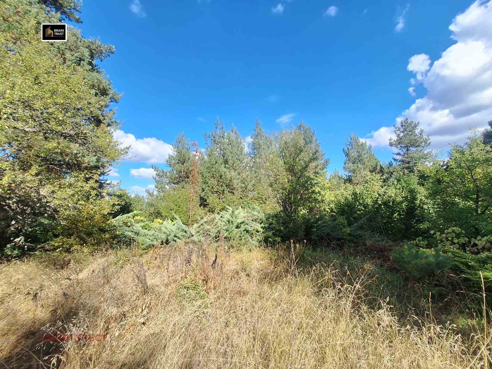 Продава ВИЛА, гр. Самоков, област София област, снимка 10 - Вили - 56339463