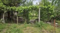 Продава КЪЩА, с. Дъбравите, област Пазарджик, снимка 15
