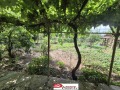Продава КЪЩА, област Велико Търново, гр. Долна Оряховица • 155000 € / 303153.65 лв. • 51862019 3