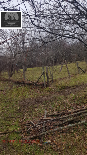 House Saparevo, region Kyustendil 3