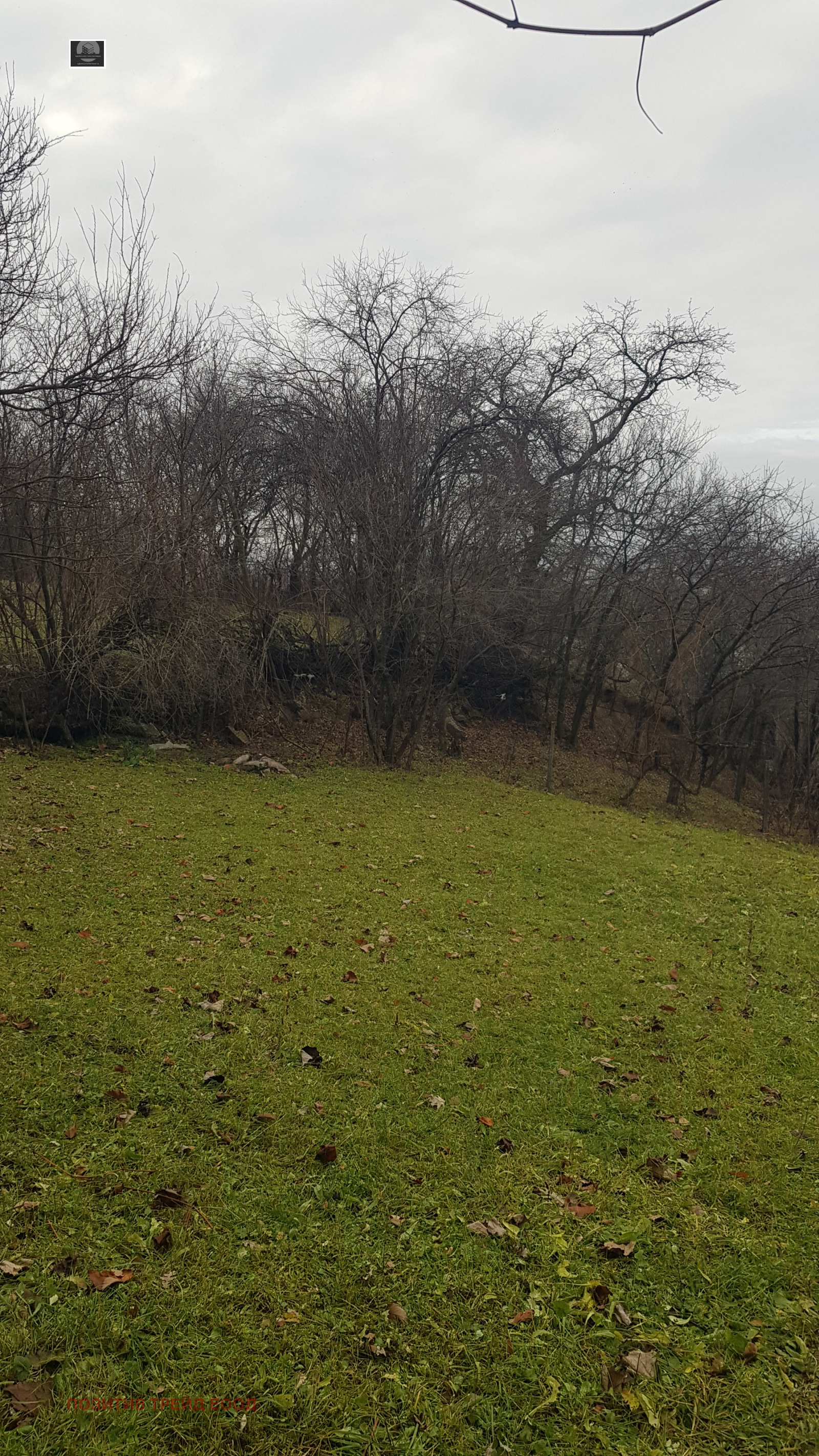 Продава КЪЩА, с. Сапарево, област Кюстендил, снимка 2 - Къщи - 48227837