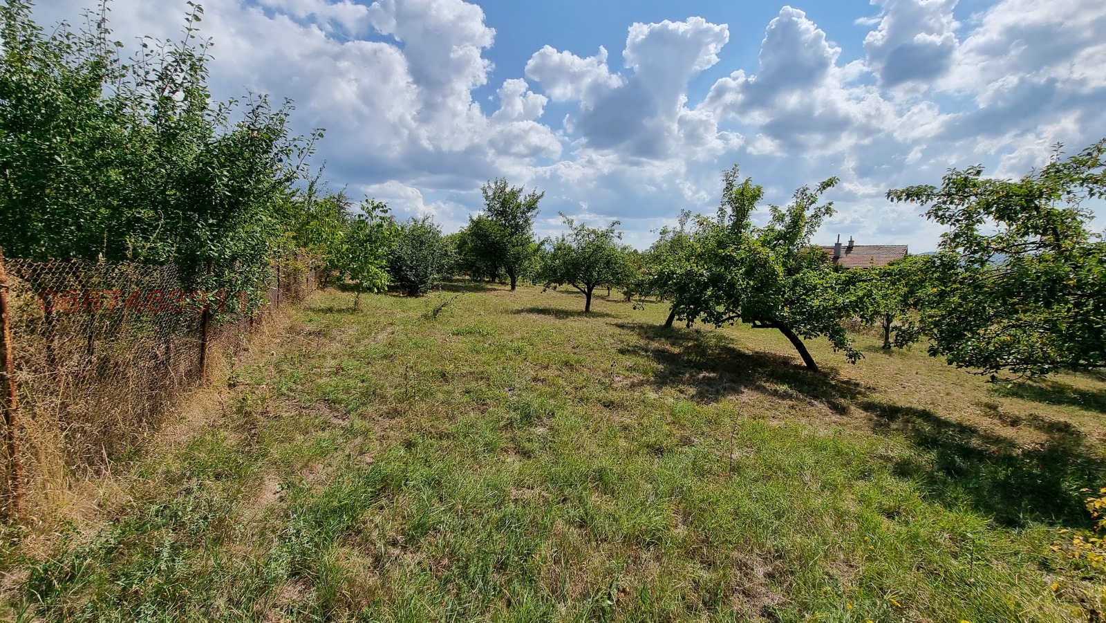 Продава ПАРЦЕЛ, с. Големо Бучино, област Перник, снимка 5 - Парцели - 55702160