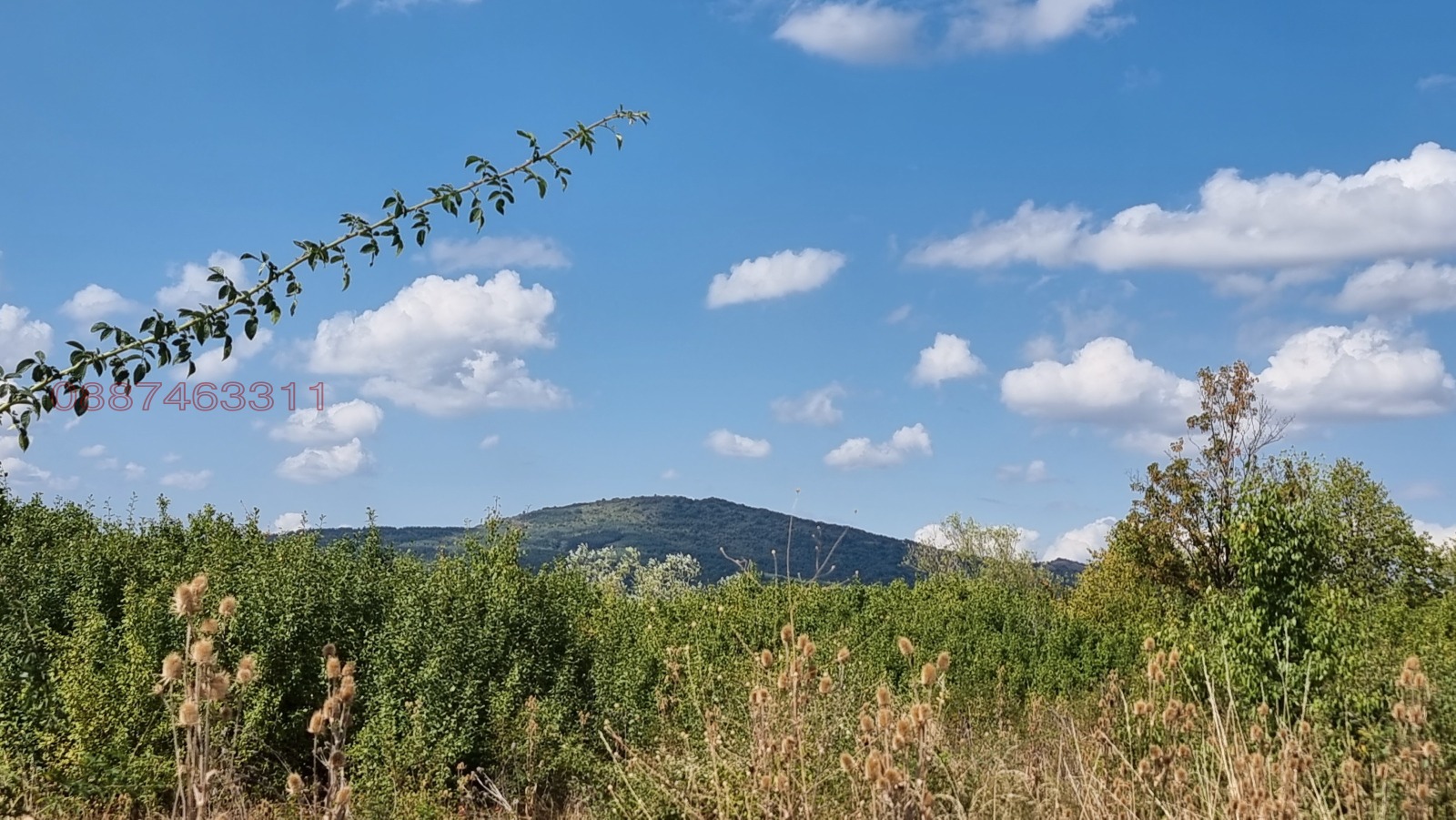 Продава ПАРЦЕЛ, с. Големо Бучино, област Перник, снимка 13 - Парцели - 55702160