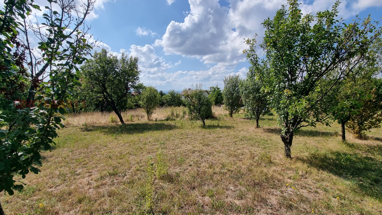 Продава ПАРЦЕЛ, с. Големо Бучино, област Перник, снимка 8 - Парцели - 55702160
