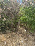 Продава ПАРЦЕЛ, гр. София, Бенковски, снимка 2