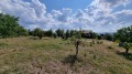 Продава ПАРЦЕЛ, с. Големо Бучино, област Перник, снимка 4
