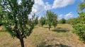Продава ПАРЦЕЛ, с. Големо Бучино, област Перник, снимка 7