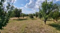 Продава  Парцел област Перник , с. Големо Бучино , 875 кв.м | 75181759 - изображение [8]