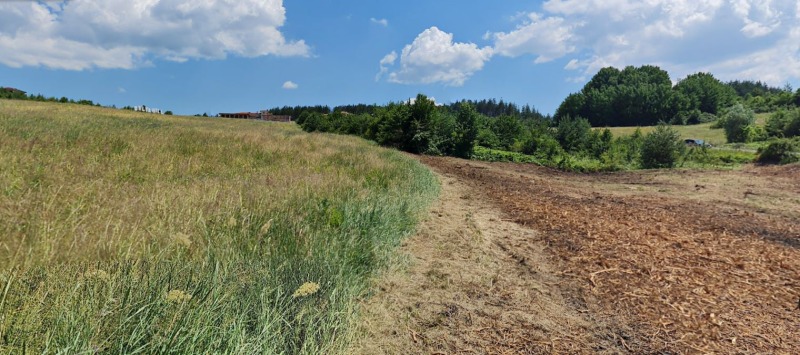 À vendre  Parcelle région Pernik , Kladnitsa , 547 m² | 30108802