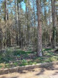 Продава ПАРЦЕЛ, с. Старозагорски бани, област Стара Загора, снимка 2