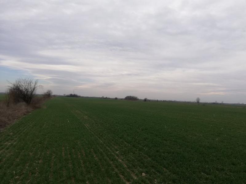 ������� ������ | Imot.bg � ����������� 3