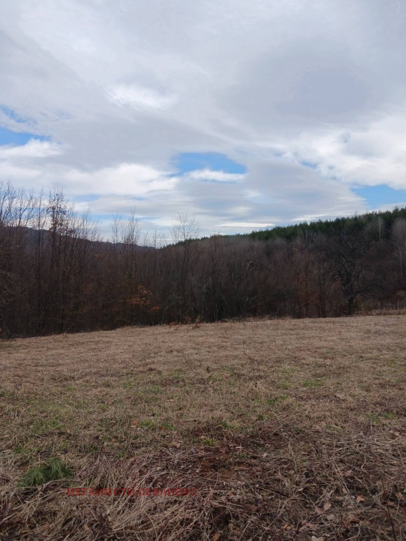 ������� ������ | Imot.bg � ����������� 1