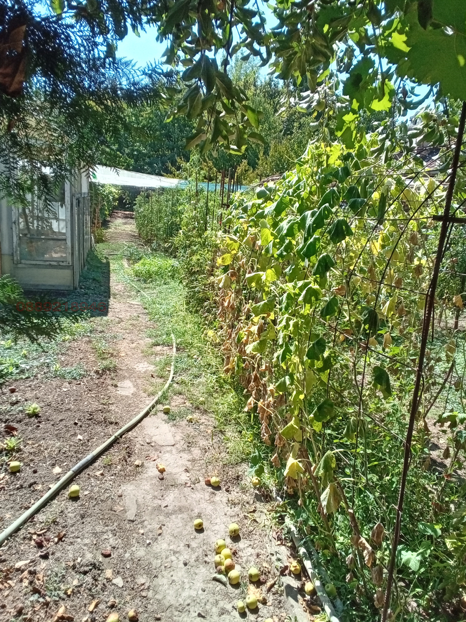 Продава КЪЩА | Imot.bg — изображение 6