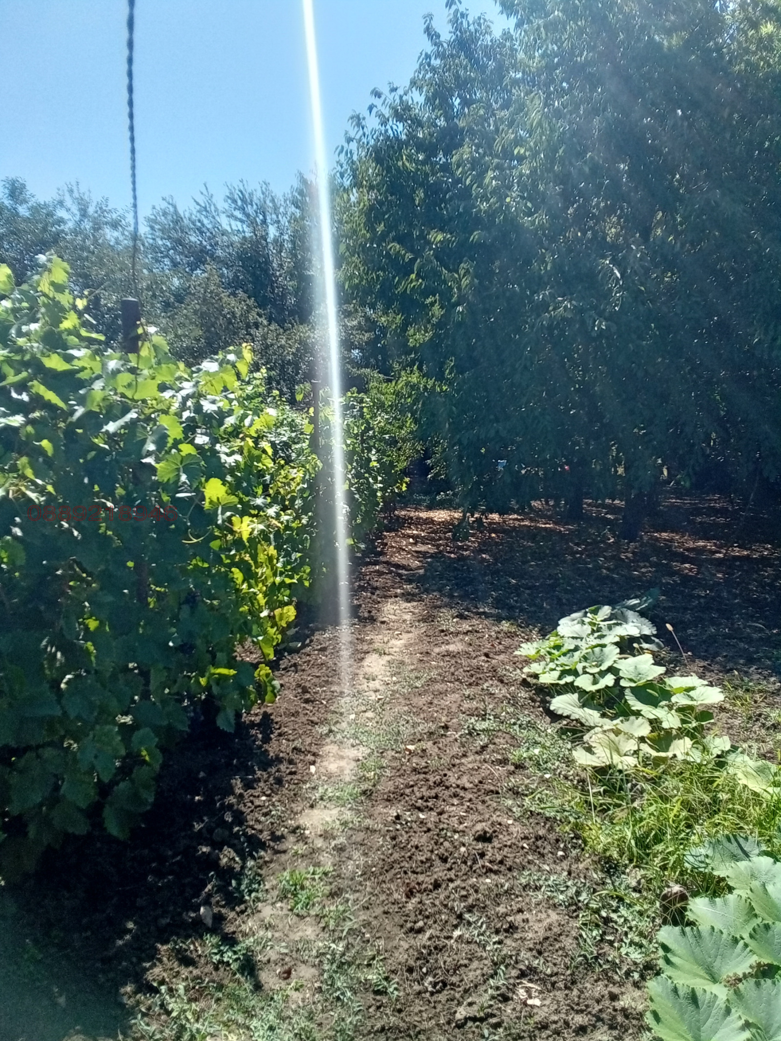 Продава КЪЩА | Imot.bg — изображение 4