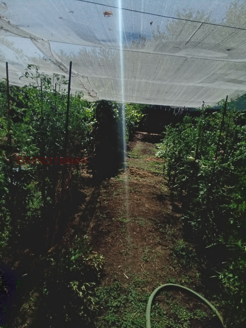 Продава КЪЩА, с. Ясен, област Плевен, снимка 5 - Къщи - 52780620