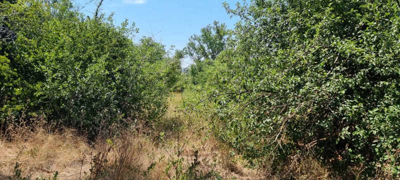 Продава  Парцел град Разград , Промишлена зона - Запад , 800 кв.м | 91575124