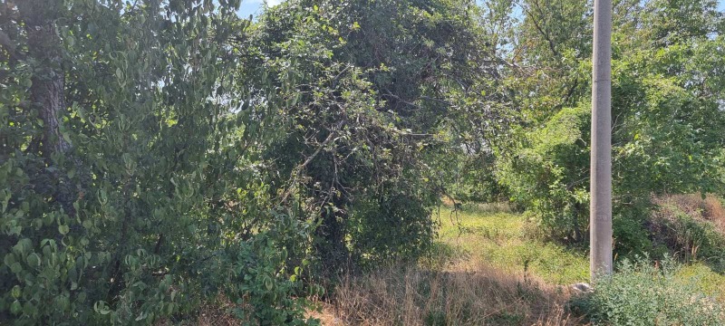 Продава  Парцел град Разград , Промишлена зона - Запад , 800 кв.м | 91575124 - изображение [4]