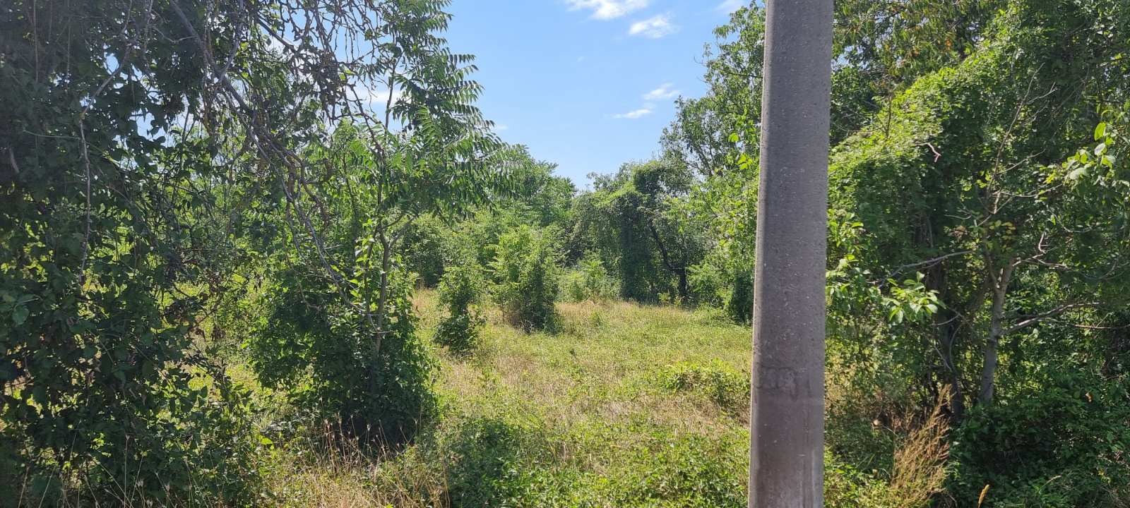 Продава ПАРЦЕЛ, гр. Разград, Промишлена зона - Запад, снимка 2 - Парцели - 54413104