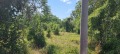 Продава ПАРЦЕЛ, гр. Разград, Промишлена зона - Запад, снимка 2