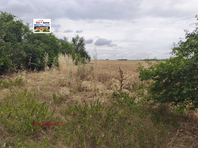 For Sale  House region Dobrich , Geshanovo , 140 sq.m | 96791211 - image [4]