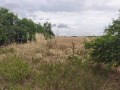 Продава КЪЩА, област Добрич, с. Гешаново • 28000 лв. • 58852783 — Holmes.bg