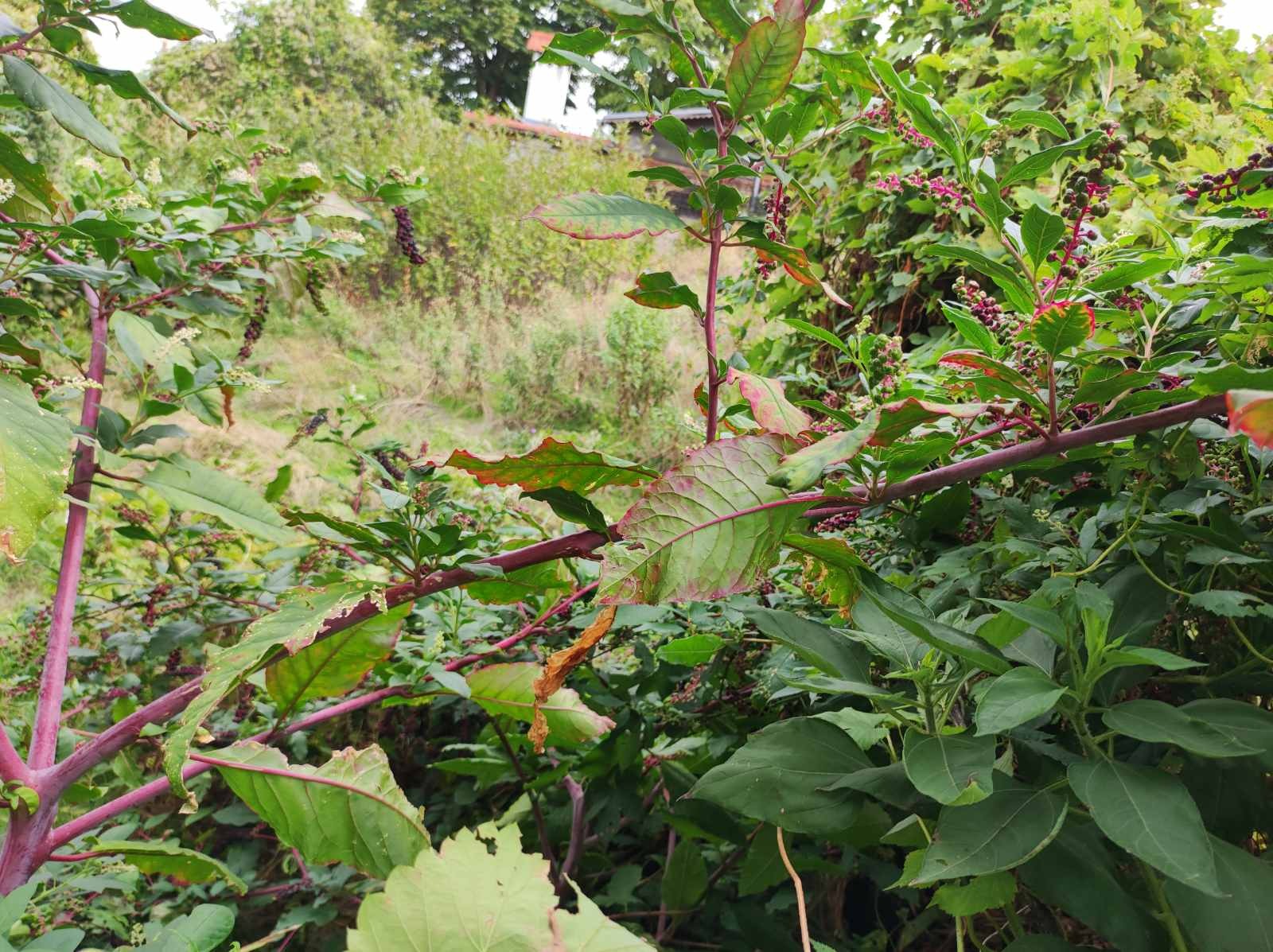 ������� ������ | Imot.bg � ����������� 1