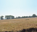 Продава ПАРЦЕЛ, гр. София, Симеоново, снимка 4