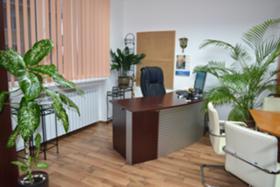 ����� ������� 3-�����,���� �����, ������