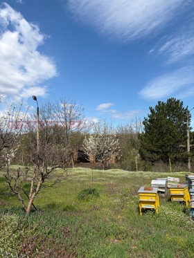 ������� ������ | Imot.bg � ����� ������ 6